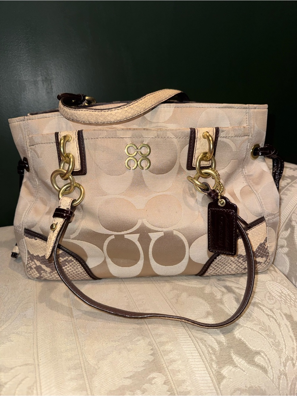 Coach Collette Snakeskin Signature Satchel